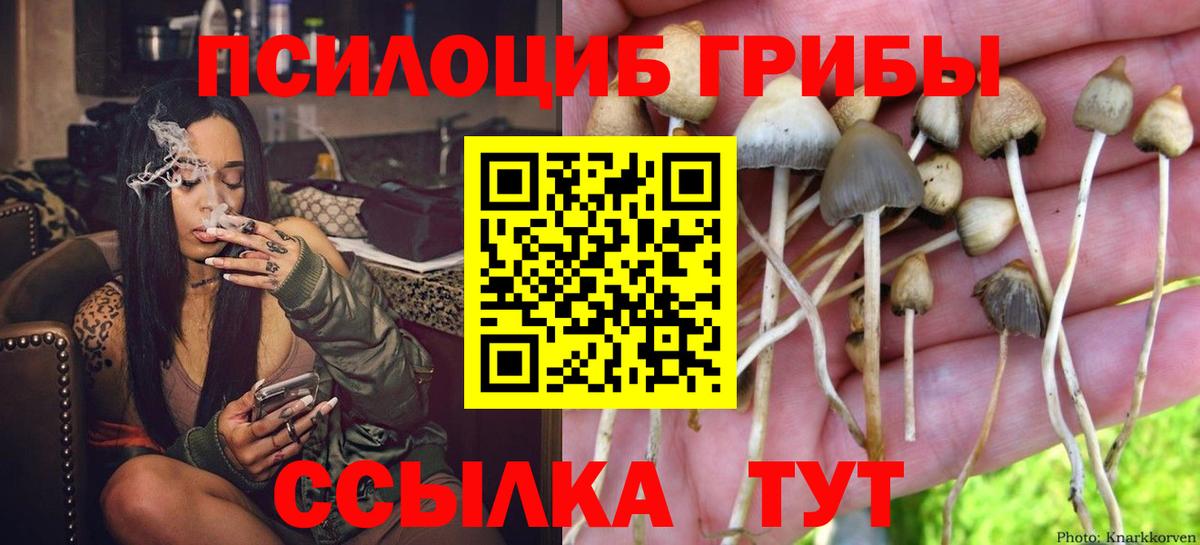 купить наркотик  Галлюциногенные грибы мицелий  Вход с VPN  Ялта 