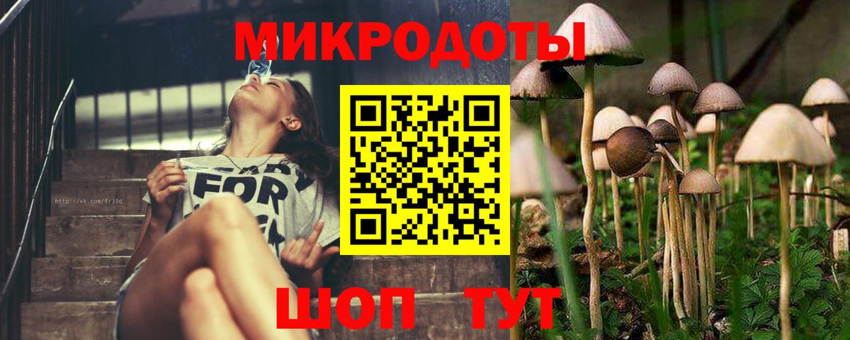 Псилоцибиновые грибы прущие грибы Ялта